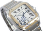 Cartier Santos De Cartier W2SA0009