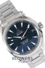 Omega Seamaster Aqua Terra 231.10.39.21.03.002