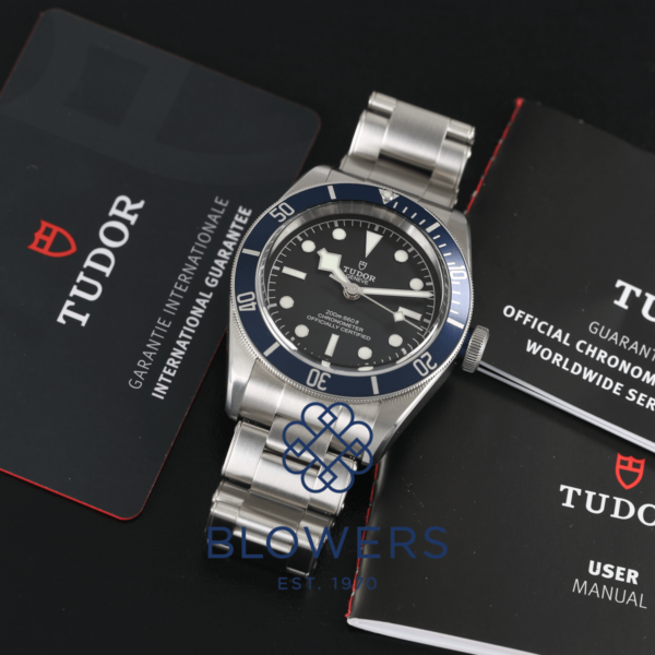 Tudor Black Bay 79230B