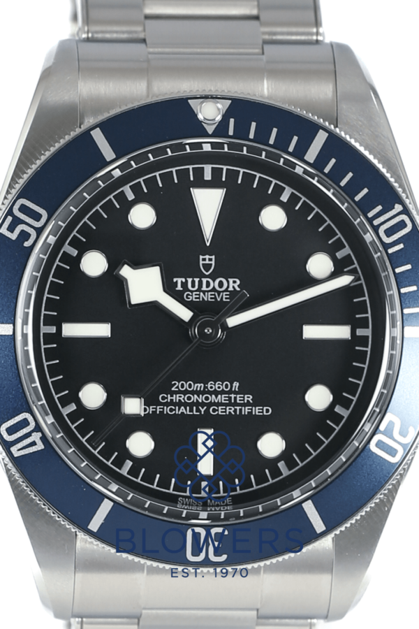 Tudor Black Bay 79230B