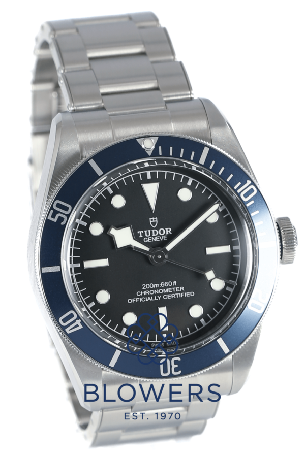 Tudor Black Bay 79230B