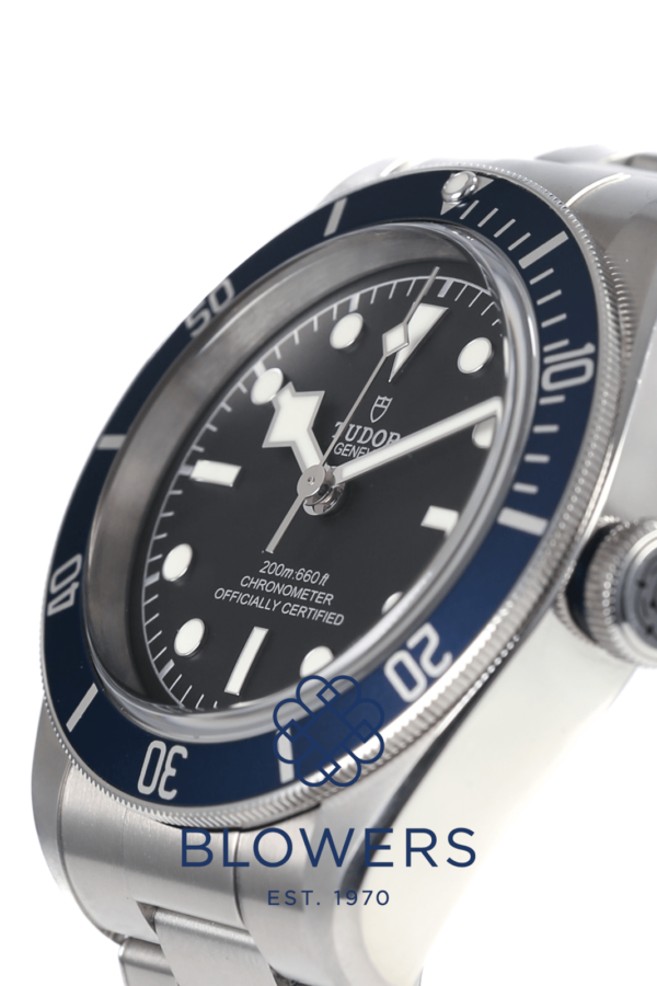 Tudor Black Bay 79230B