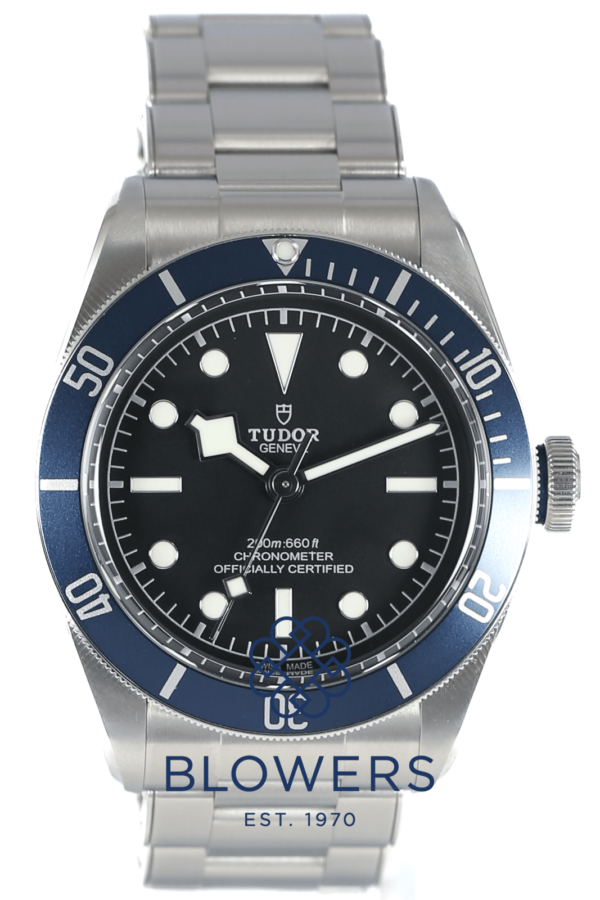 Tudor Black Bay 79230B