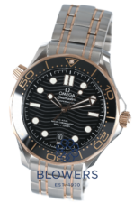 Omega Seamaster Diver 210.20.42.20.01.001