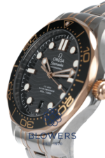 Omega Seamaster Diver 210.20.42.20.01.001