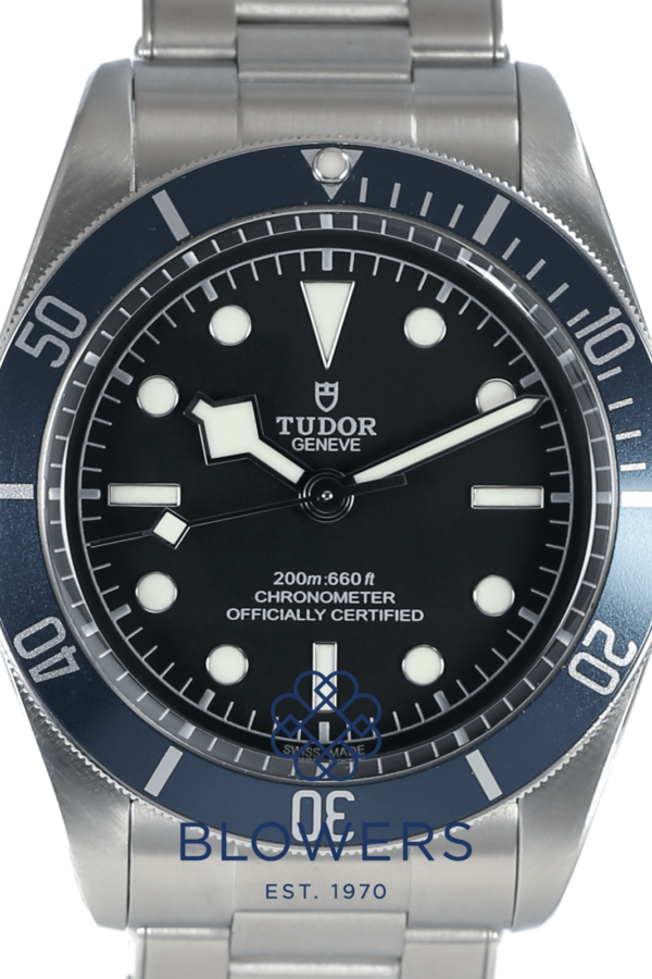 Tudor Black Bay 79230B