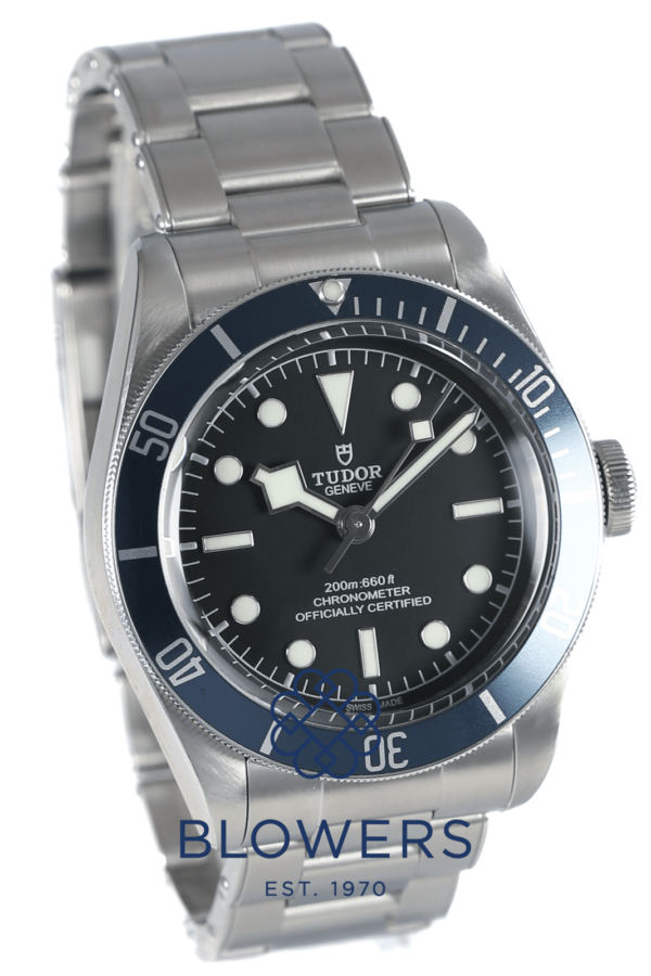 Tudor Black Bay 79230B