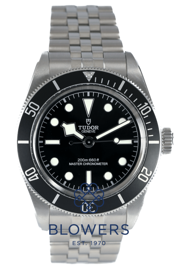 Tudor Black Bay 7941A1A0NU