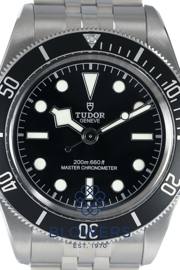 Tudor Black Bay 7941A1A0NU