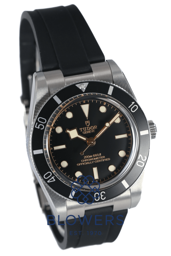 Tudor Black Bay 54 79000N