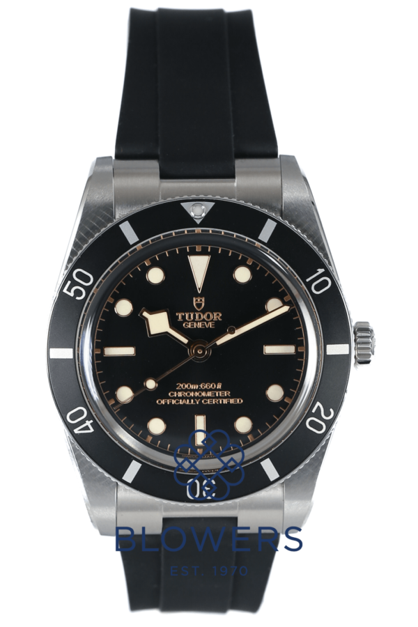 Tudor Black Bay 54 79000N