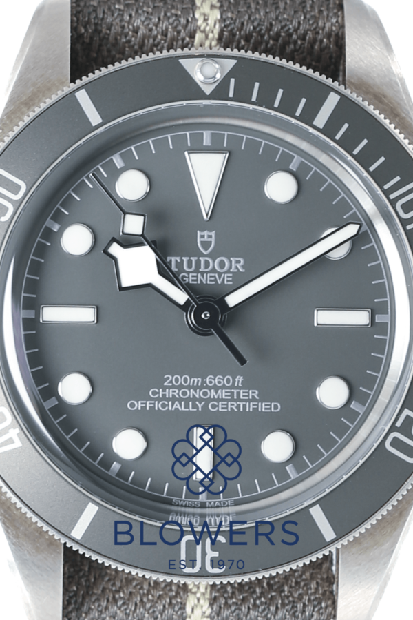 Tudor Heritage Black Bay Fifty Eight 79010SG-0001\