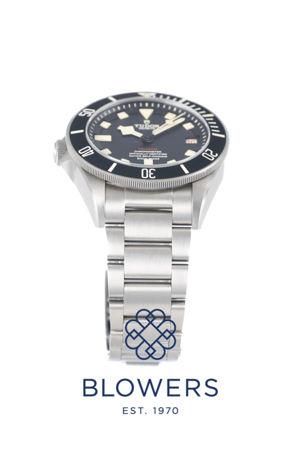 Tudor Heritage Pelagos 25610TN