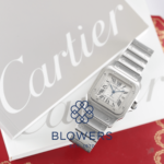 Cartier Santos W20055D6