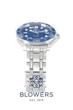 Omega Seamaster Diver 300m 210.30.42.20.03.001