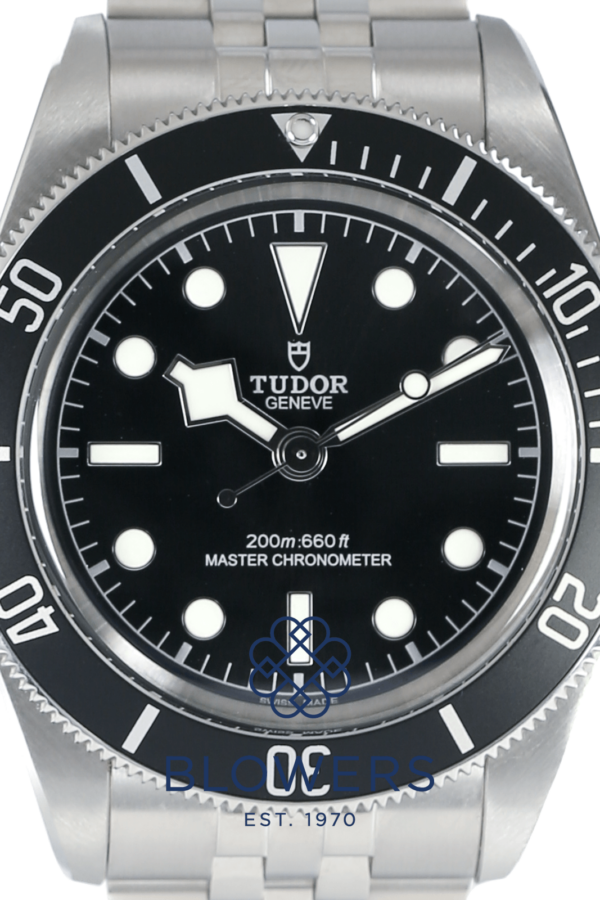 Tudor Black Bay 7941A1A0NU