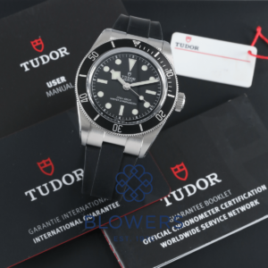 Tudor Black Bay 7941A1A0NU