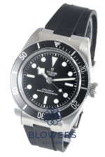 Tudor Black Bay 7941A1A0NU