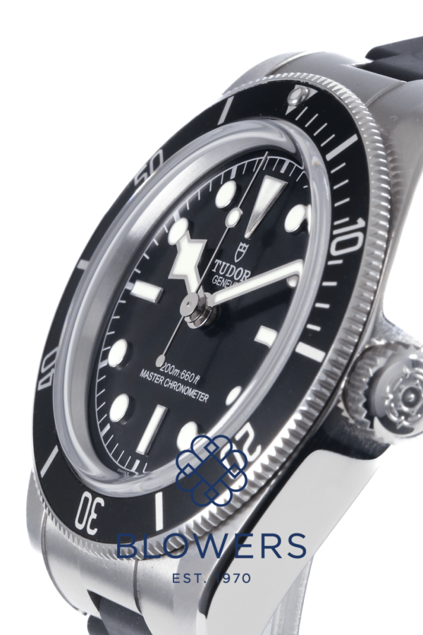 Tudor Black Bay 7941A1A0NU