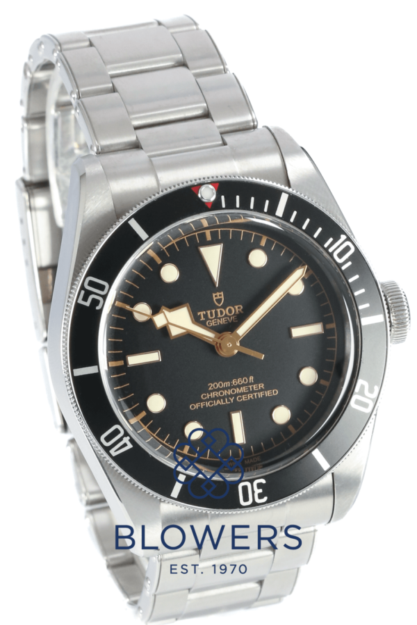 Tudor Heritage Black Bay 79230N