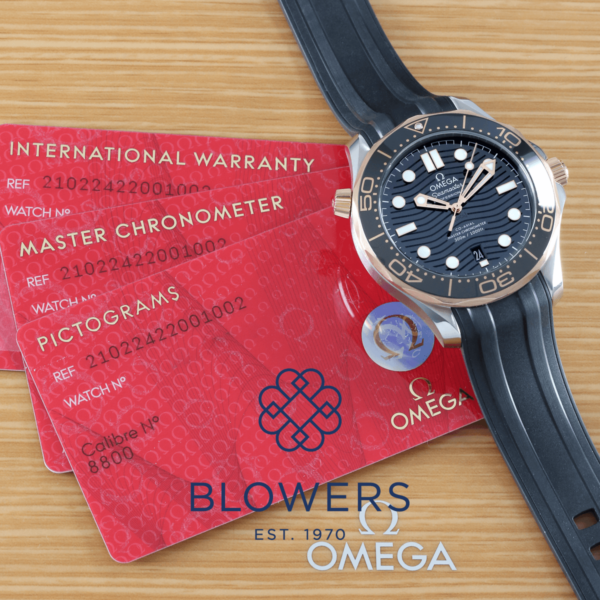 Omega Seamaster Diver 210.20.42.20.01.002