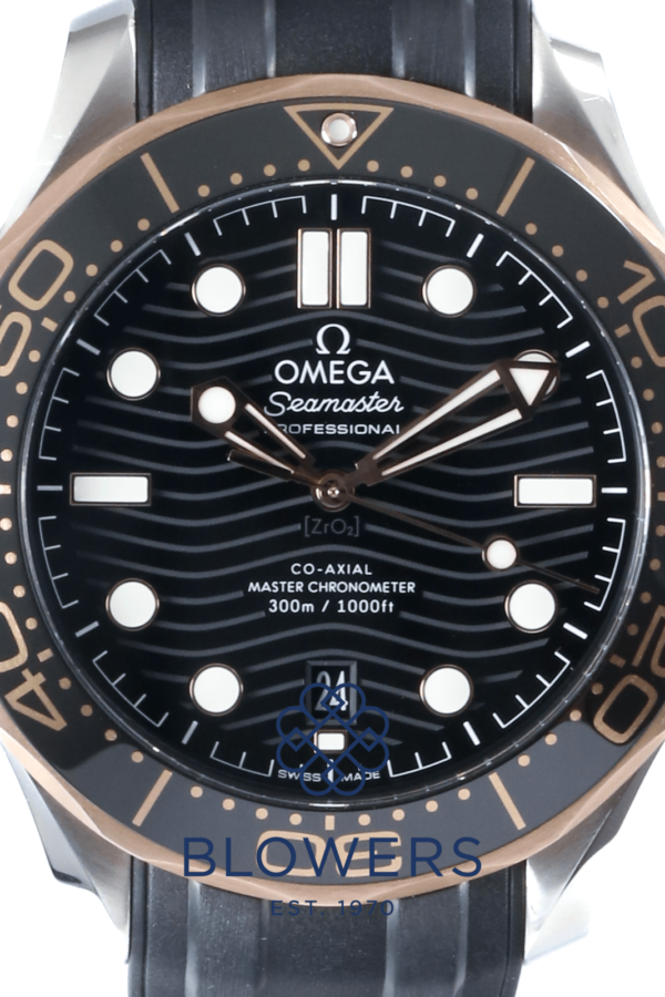 Omega Seamaster Diver 210.20.42.20.01.002