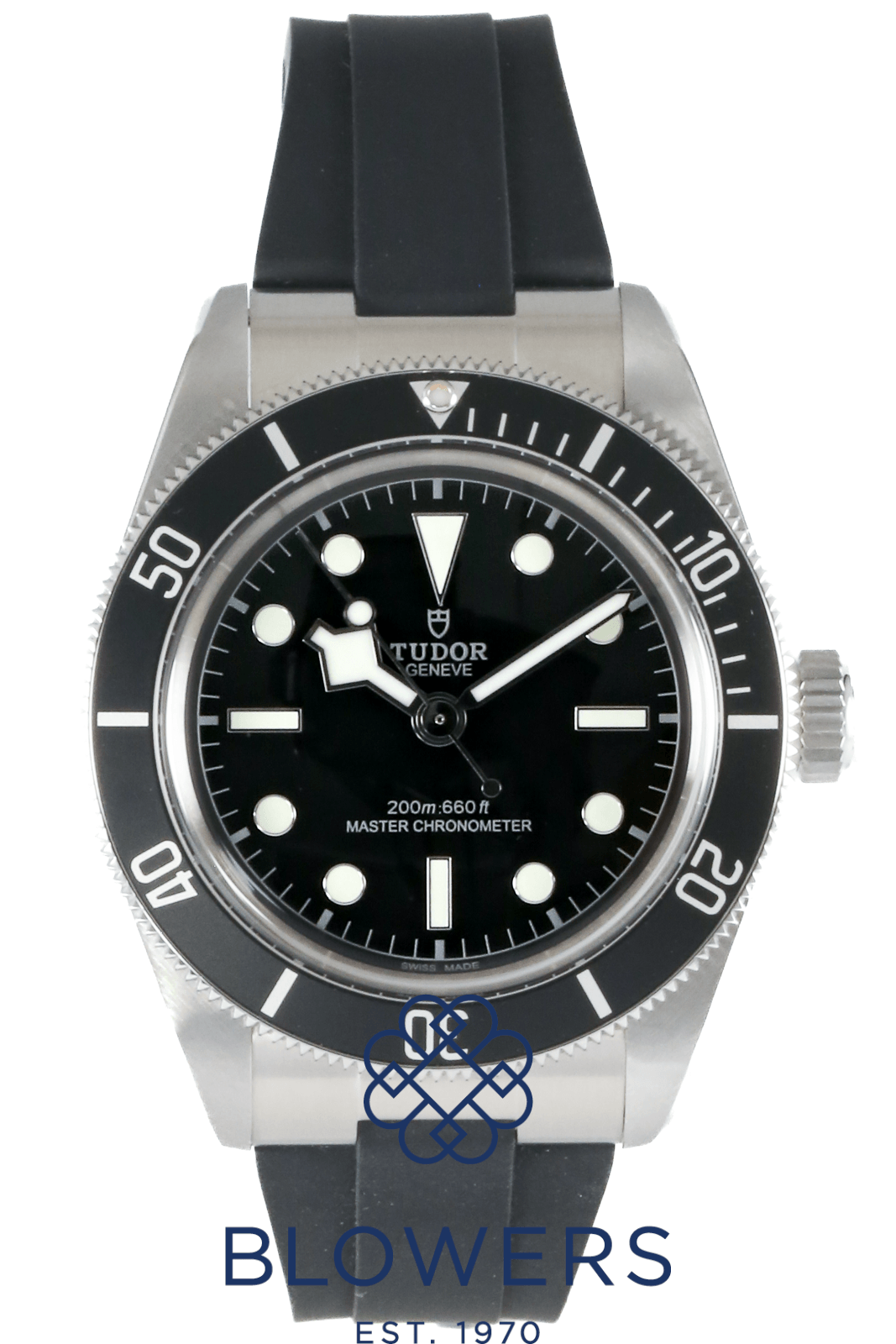 Tudor Black Bay 7941A1A0NU