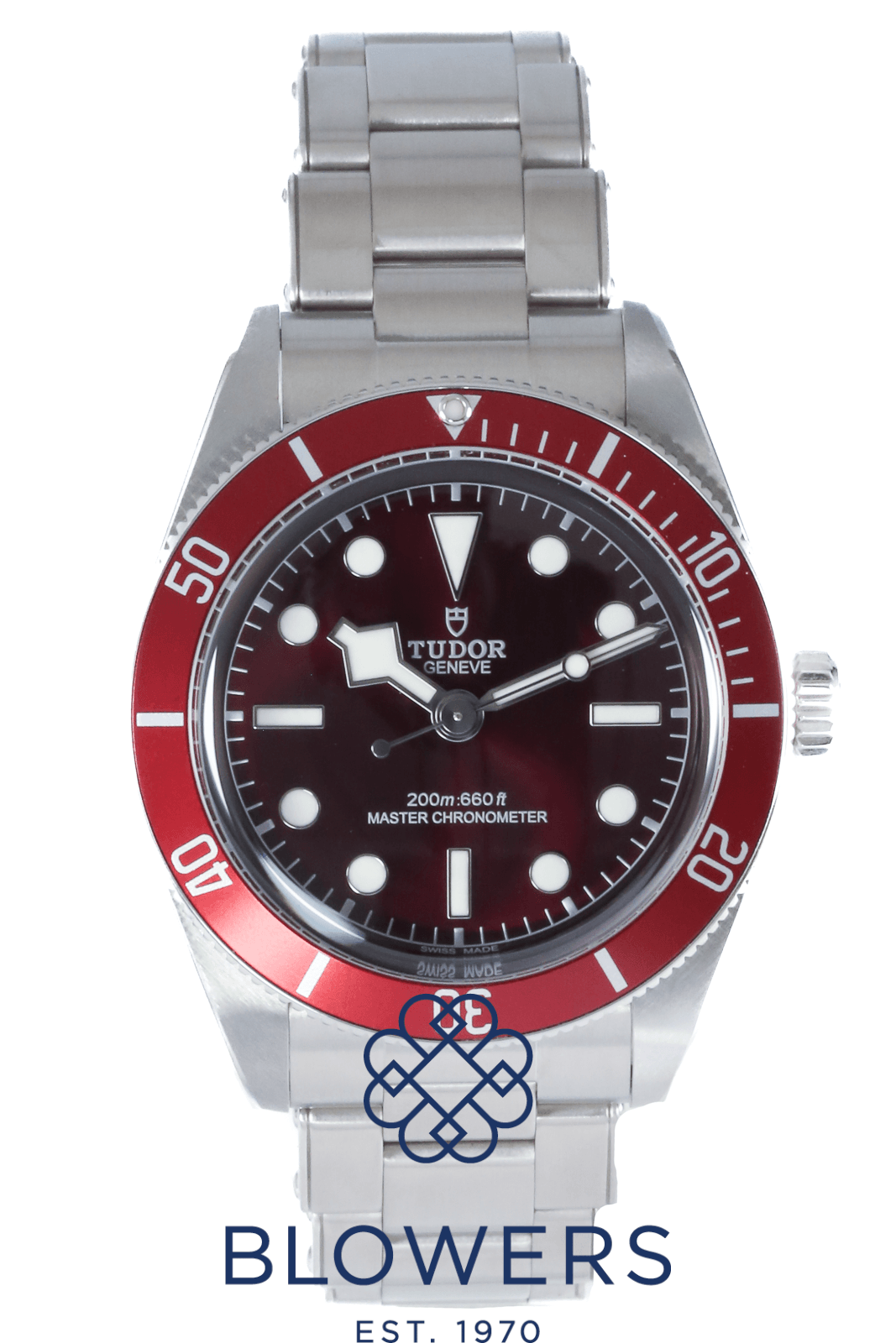 Tudor Black Bay 58 7939A1A0RU