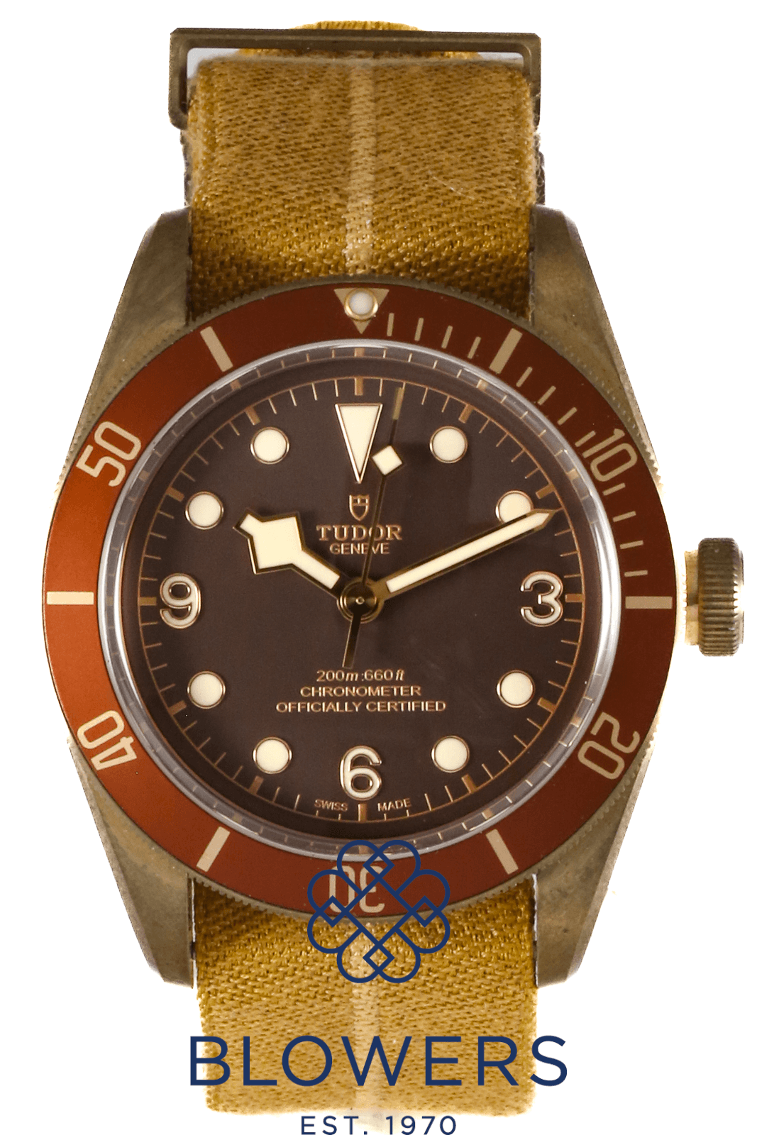 Tudor Heritage Black Bay Bronze 79250M