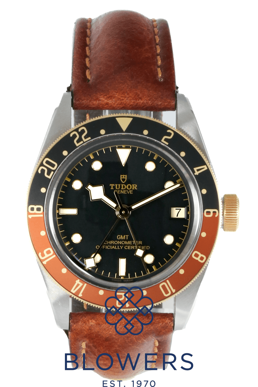 Tudor Black Bay M79833MN
