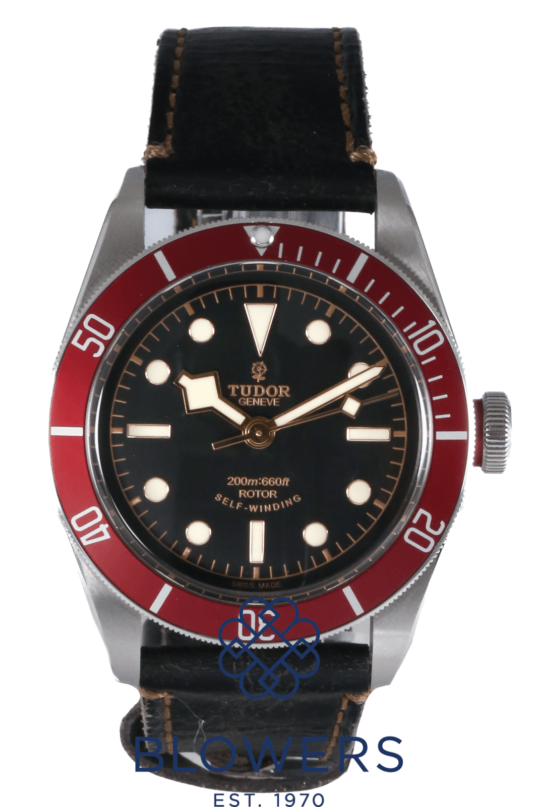 Tudor Heritage Black Bay 79220R